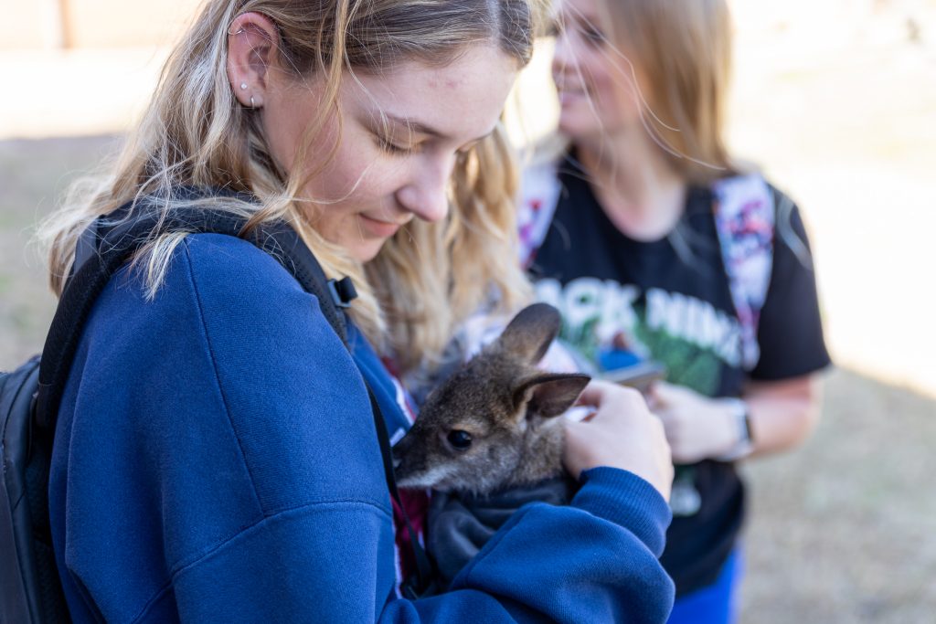 SSC students take turns holding Sally, a wallaby, which are members of the kangaroo family and native to Australia.