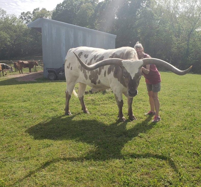 SSC professor poses with some cattle on her family farm.