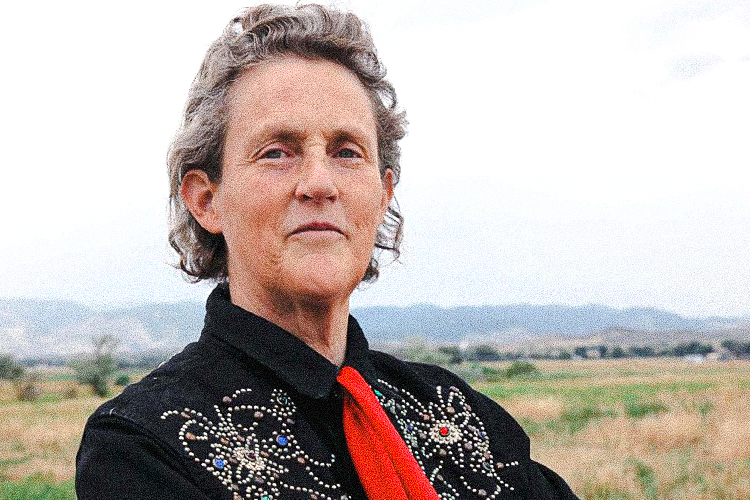 Portrait of Temple Grandin.