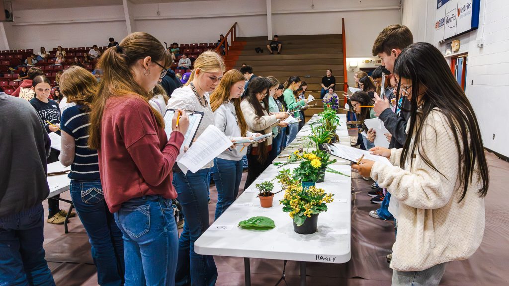 In this photo, High school students are shown taking part in floriculture competition in the Raymond Harber Field House.