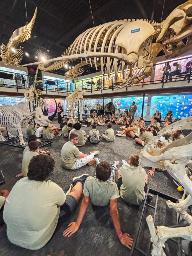 Students listen to a presentation at the Museum of Osteology in Oklahoma City during SSC’s 2026 GEAR UP Summer Camp.