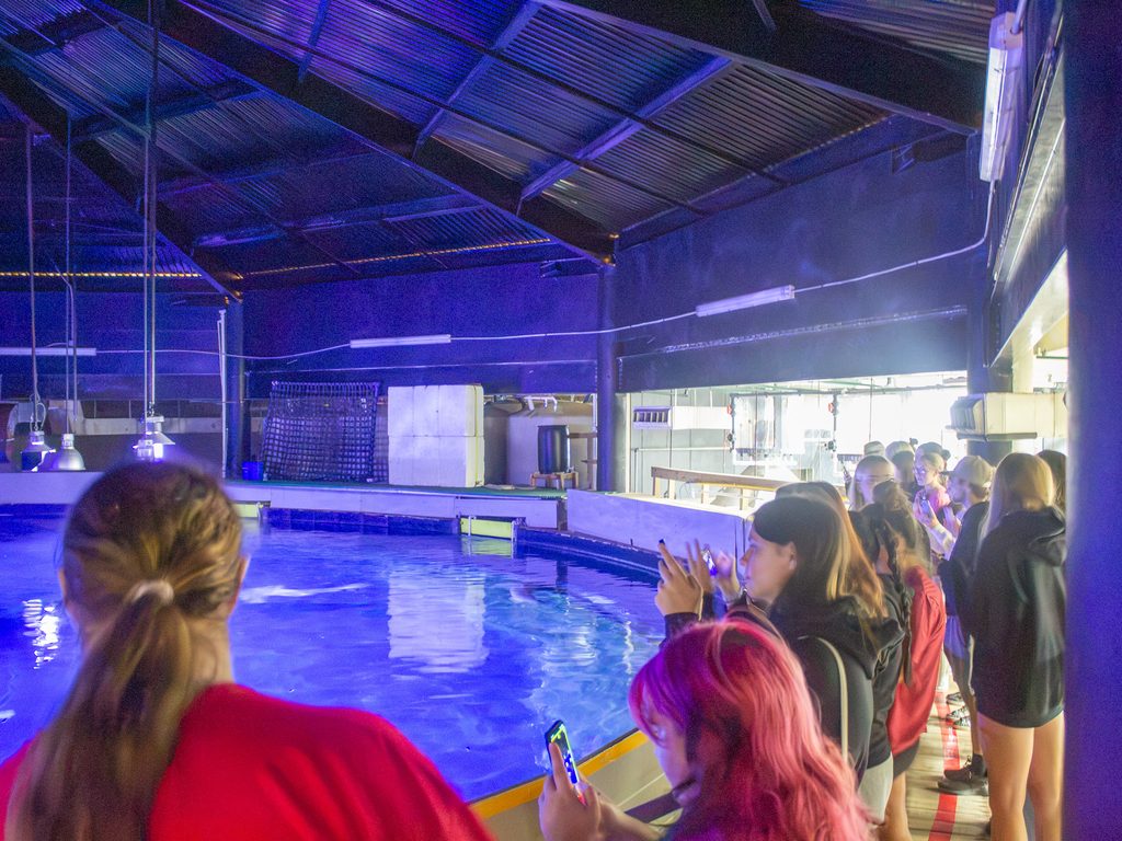 In this photo, SSC President’s Leadership Class students get a behind-the-scenes look at the Oklahoma Aquarium’s bull shark exhibit.